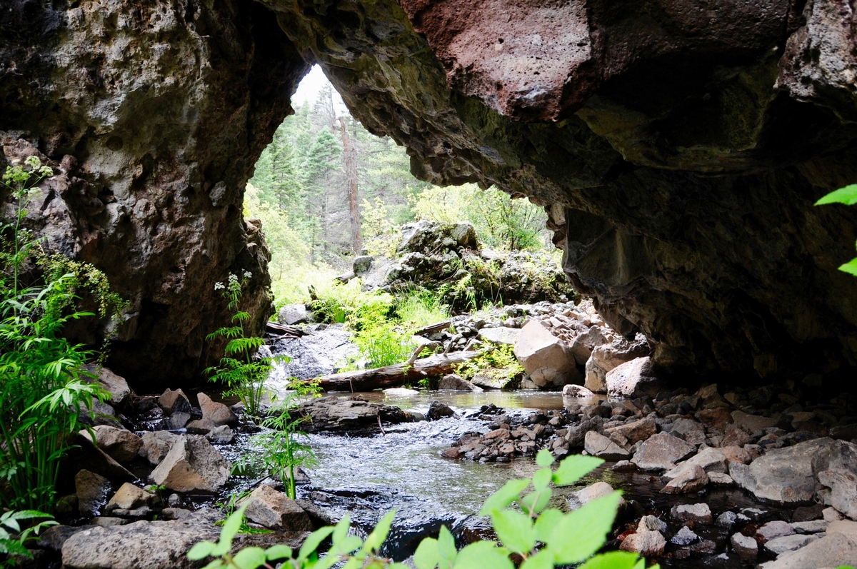 Photography of New Mexico Nature